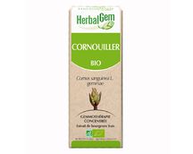 Cornouiller Macérat de bourgeon Bio- 30 ml - HERBALGEM