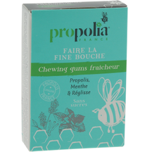 Chewing gum Propolis & Menthe - 25gums - APIMAB - PROPOLIA