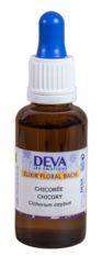 Fleur de Bach Chicorée (Sève d'érable) - Chicory 30 ml - DEVA