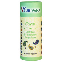 Coleus extrait à 10% de Forskoline BIO - AYUR VANA