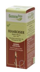 Framboisier - Macérat de bourgeons Bio-30 ml - HERBALGEM