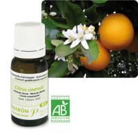 Huile essentielle Orange douce Bio 10 ml -PRANARÔM