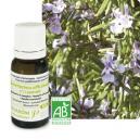 Huile essentielle Romarin à camphre Bio 10 ml -PRANARÔM