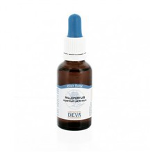 Elixir floral Millepertuis 30 ml - DEVA