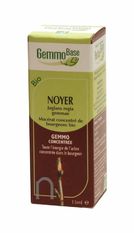 Noyer Macérat de bourgeon Bio-15 ml -HERBALGEM