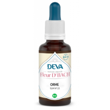 Orme - Elm - 30 ml - DEVA