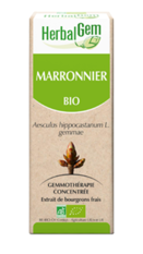 Marronnier Macérat de bourgeon bio -30ml -HERBALGEM