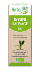 Rosier sauvage Macérat de bourgeons Bio-30ml -HERBALGEM