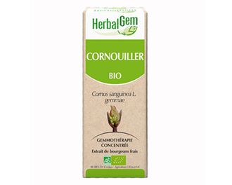Cornouiller Macérat de bourgeon Bio- 30 ml - HERBALGEM