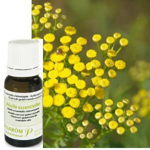 Huile essentielle Tanaisie annuelle -5 ml -PRANARÔM