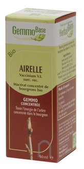 Airelle Macérat de bourgeon Bio-30 - HERBALGEM