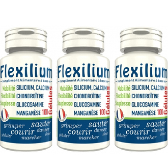 Lot de 3 Flexilium Gélules -LT LABO