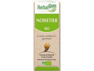 Noisetier Macérat de bourgeon Bio-30 ml -HERBALGEM