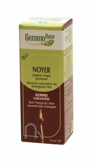 Noyer Macérat de bourgeon Bio-15 ml -HERBALGEM