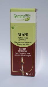Noyer Macérat de bourgeon Bio-30 ml -HERBALGEM