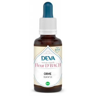 Orme - Elm - 30 ml - DEVA