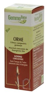 Orme Macérat de Bourgeon Bio-30 HERBALGEM