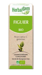 Figuier Macérat de bourgeon Bio - 30 ml - HERBALGEM