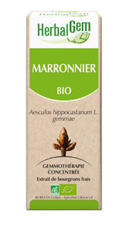 Marronnier Macérat de bourgeon bio -30ml -HERBALGEM